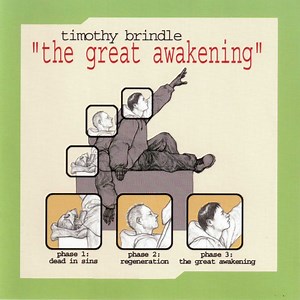 Timothy Brindle - The Great Awakening