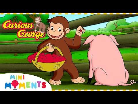 George Looks After the Farm! 🐷 | Curious George | Mini Moments