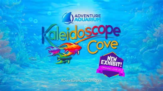 🎉 Adventure Aquarium's newest exhibit is opening soon — and it’s like nothing you’ve seen before! Kaleidoscope Cove brings a splash of color to your summer with glowing creatures, dazzling lights, and a totally immersive underwater vibe 🌈✨ Whether you're planning a family day out or looking for something new to explore, this is your must-see summer experience. Add some color to your summer — get your tickets now at www.adventureaquarium.com 💙 #KaleidoscopeCove #AdventureAquarium | Adventure A
