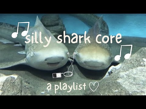 silly shark core 🦈✧˚.₊⊹ [playlist]