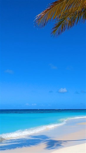 Palm calm 💗🏝️ 📍 Shoal Bay, Anguilla ✨ Relax with the full video over on YouTube: https://youtu.be/wSJe_OdeHFY?si=u6yl1Q7E6f9ac7xn❣️ | My Tranquilitee