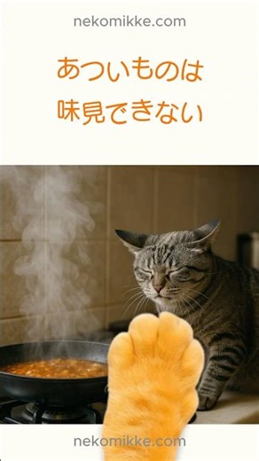 もしも、ねこがコックさんだったら🐾｜ねこみっけ#Shorts #猫 #ねこみっけ #cats