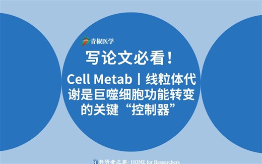 高分文献解读！Cell Metab丨线粒体代谢是巨噬细胞功能转变的关键“控制器”。