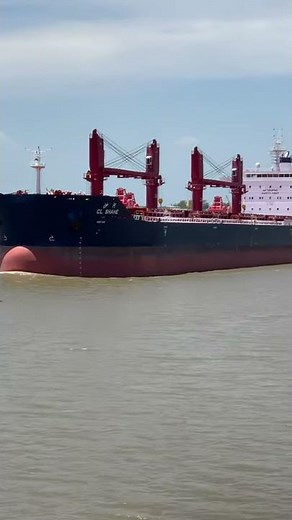 Gear BULK ship passing by a container carrier ship in port | Gear Bulk Ship
