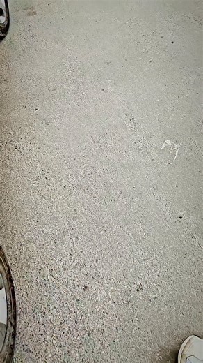 Yas HU on Instagram: "🔥🔥🔥 #trändig #viral #instadaily #slonking #jaimahakal"