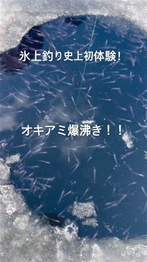 氷上釣り史上初体験！オキアミ爆沸き！ #氷上釣り #オホーツク #釣り #チカ #fishing #ワカサギ #オキアミ