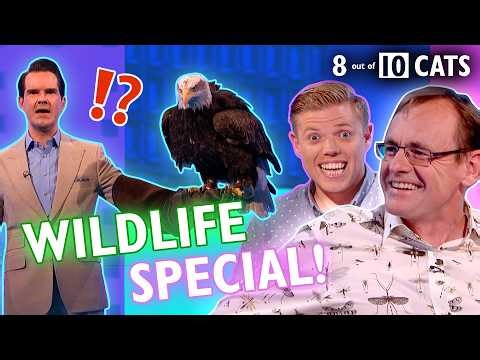 The FUNNIEST things about animals | 8 Out Of 10 Cats
