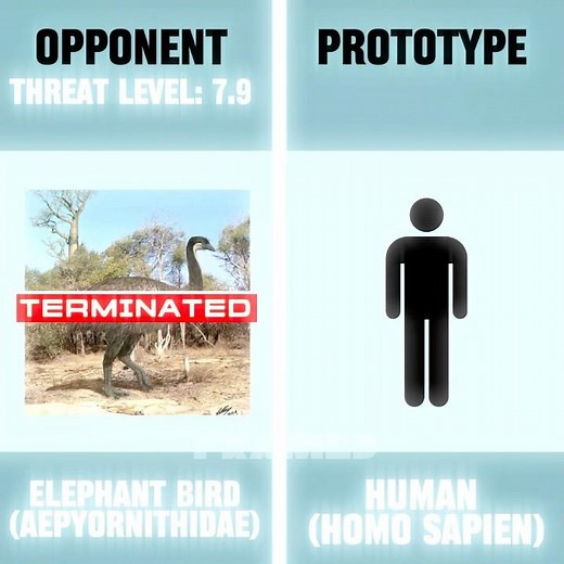 Terminated Edit - Human/Extinct Animal Edit #edit #phonk #nature #environment #memes #fyp #animals
