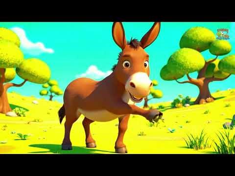 Portuguese | A história de vida do burro | The life story of donkey | life story