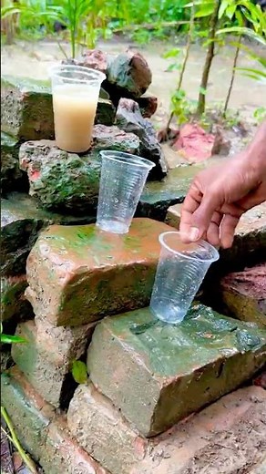 Amazing Survival Trick: Turn Muddy Water Clear Using Simple DIY Filter💧#camping #bushcraft#outdoors