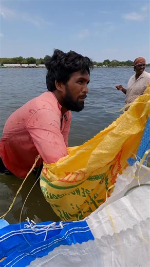177K views · 826 reactions | DIY Cocacola bottle fishing trap techniques 勞 | Tn villager | Facebook