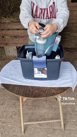 Flexineb vs. Airone vs. Sahoma: Welches Pferde-Inhalationsgerät ist das Beste?