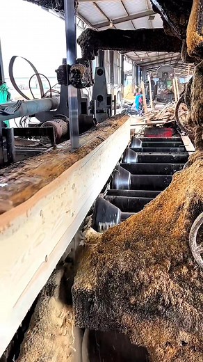 "Mastering Wood Cutting: From Tree to Timber! 😊 #WoodCutting #SawmillLife #WoodworkingSkills #TreeToTimber #CarpentryMagic | Wooden skills28