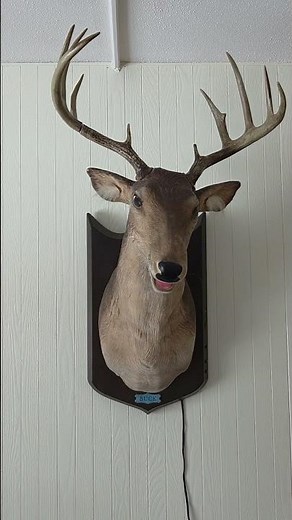 Gemmy Animated Buck The Singing Deer - Friends In Low Places DEMO