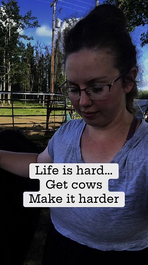 8.2K views · 125 reactions | Worth it #alaskafarm #Alaska #alaskaliving #farm #farming #cows #alaskacow | Blankenship Farms | Facebook