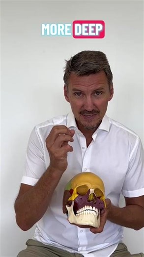 Take your manual therapy skills to the next level with NM4!🧠