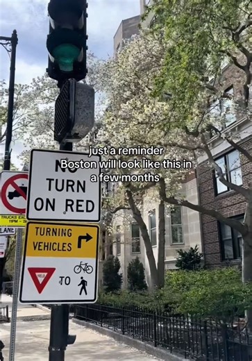 Exciting Boston: A City to Explore This Season