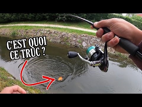Un RECORD IMPROBABLE dans ce CANAL / Gros BROCHET au leurre !