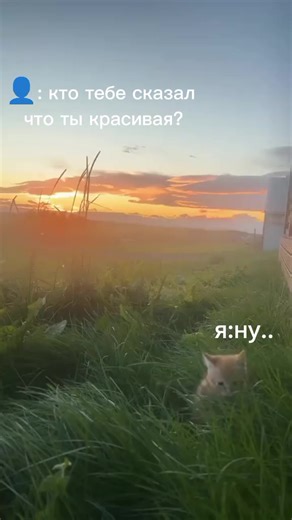 удали и непозорся ,не кому не (@instasamka971)’s videos with Cola Song (feat. J Balvin) - Inna