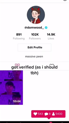 Fake Fame App - Hype Simulator