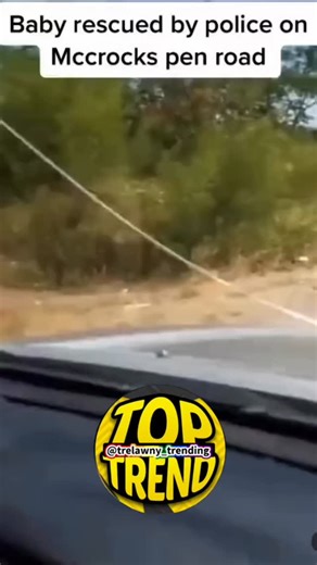 TOP TREND on Instagram: "This is on another level of carelessness. @trelawny_trending #trelawny_trending #viral #fyp #jamaica #trending"