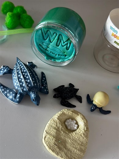 Leatherback Turtle Life Cycle Sensory Dough Kit • Homeschool Learning - Etsy Canada