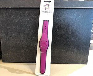 The Magenta MagicBand Is A Berry Delightful New Addition | Chip and Company
