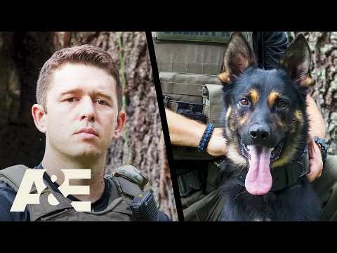K9 and Deputies Work to Subdue Individual After Struggle Escalates | K9 PD with Jim Belushi | A&E