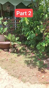 25K views · 355 reactions | Here is Part 2 of Orals Villa. You can read my full review: https://kareemsquest.com/a-rastamans-retreat-rustic-villas-with-a-view-in-belmont/ | Kareem's Quest | Facebook