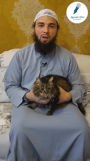 Les Chats en Islam : Bienfaits et Significations