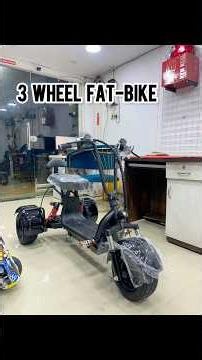 3 Wheel Electric Fat Bike ⚡️