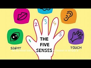 What is the Three Period Lesson in Sensorial?