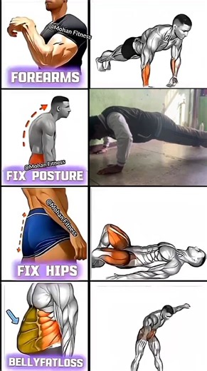 Upper body Trap, Lats, Back & Shoulder Workout 🔥 #backworkout #lats #traps #shoulderday