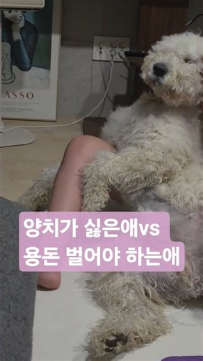 양치 게임 승자는??