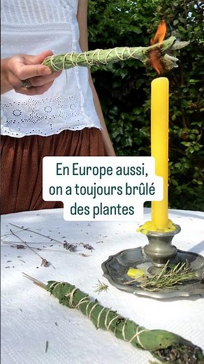 Fumigation de plantes en Europe : romarin, sauge, genévrier, lavande 🌿