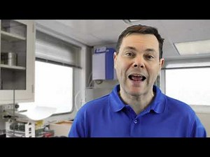 Lecture 2 Chronostratigraphy [Part A]