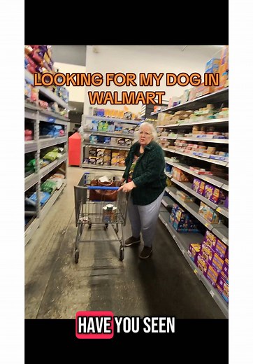 The Portuguese mountaindoodle is among the greatest of all canine companions. Their beautiful curled coat leaves behind minimal hair and they are world renown for their abilities to fetch and walk on their hind legs. My lovely Portuguese Mountaindoodle, Arnaud, badly needed a trimming so I took him to a new canine barber I had seen on TimeOut. To my disgust, he ravaged Arnaud’s effortless sensual aura with an absolutely horrendous haircut. I apologized profusely to Arnaud, but it wasn’t enough. 