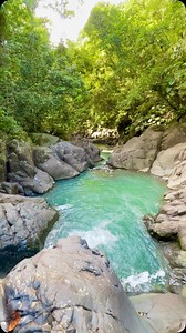 Sur les hauteurs du Saut d’Acomat 🥰 | Love Guadeloupe