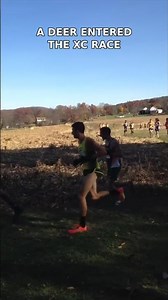 Deer Collides With Runner During Cross Country Race 😳