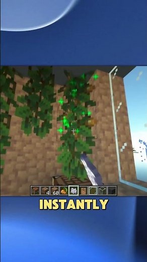How to Grow Glow Berries in Minecraft