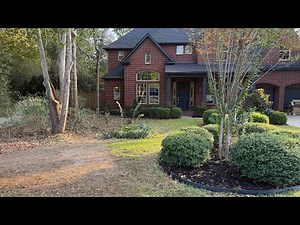 How to install a tree well