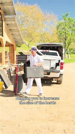 Rebuilding American Cow Herd: Making Embryos