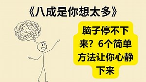 停止过度思考：6个简单方法让你心静下来 《八成是你想太多》《Stop Overthinking》
