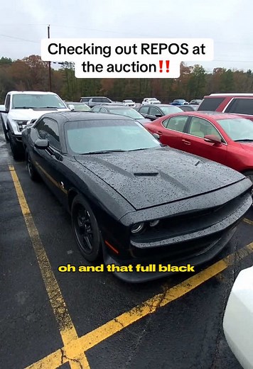 Checking out the REPOS at the auction‼️ #repo #repossession #auction #dealer #wholesale #fyp #fy #viral #trending #car #scatpack #shelbygt500 #amg #reel #reels #explore