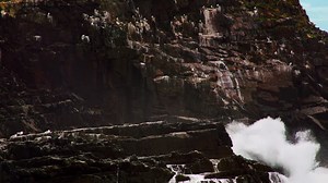 It’s time to forge ahead into the great wide open. Rediscover your backyard. | Newfoundland & Labrador Tourism