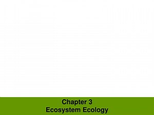 Chapter 3 Ecosystem Ecology - SlideServe