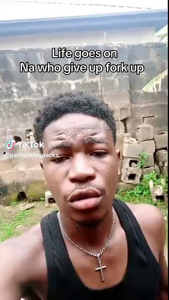 It’s gonna be well #fyp #goviral #dogsofttiktok #dogs #emotionalsupport