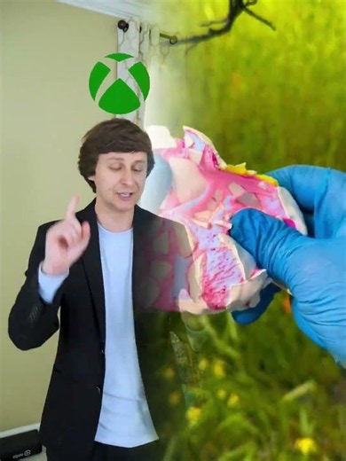 ¿Qué consola de videojuegos debería comprar?