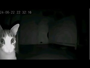 A Schizogram Compilation | Cursed Videos