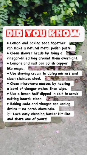 1.2M views · 20K reactions | Genius Cleaning Hacks Using Just Lemon & Vinegar 什 #facts | Did You Know Facts By OFS | Facebook